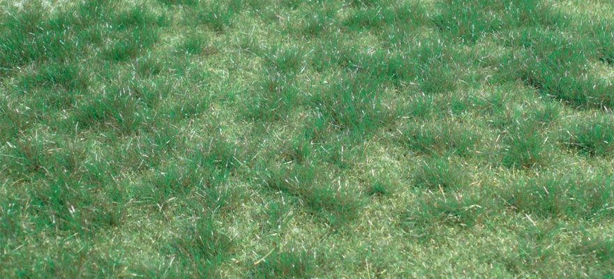 Gauge Neutral wild grass marshy county / 45 x 17 cm