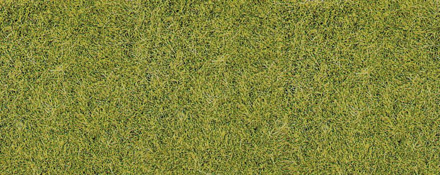 Gauge Neutral realistic wild grass grassland / 40 x 40 cm