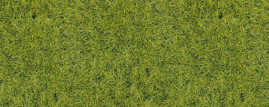 Gauge Neutral decovlies wild grass forest floor, 40x40 cm