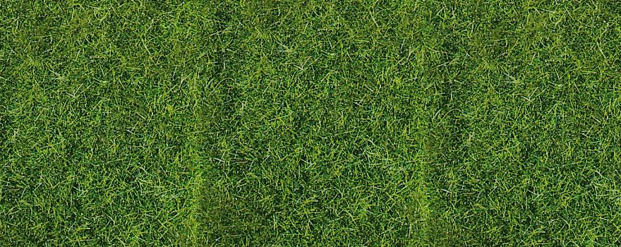Gauge Neutral realistic wild grass dark green / 40 x 40 cm