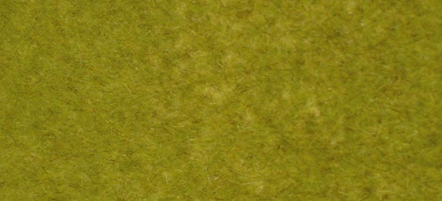 Gauge Neutral kreativ wild grass grassland / 45 x 17 cm