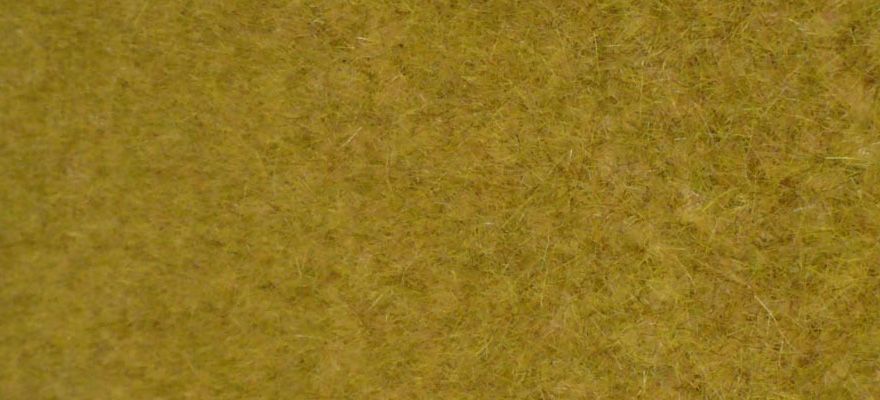 Gauge Neutral kreativ wild grass savannah / 45 x 17 cm