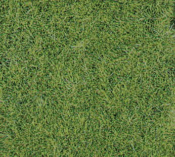 Wild Grass Mat Meadow Green - 2 pcs (40 x 24 cm)