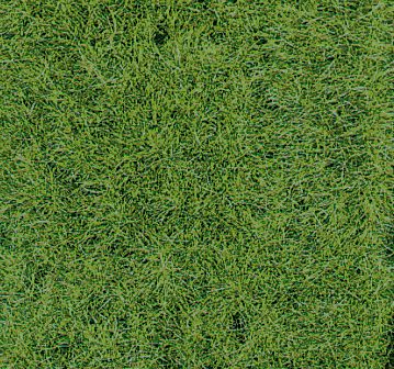 Wild Grass Mat Forest Ground - 2 pcs (40 x 24 cm)