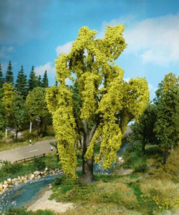 Weeping Willow 20 cm