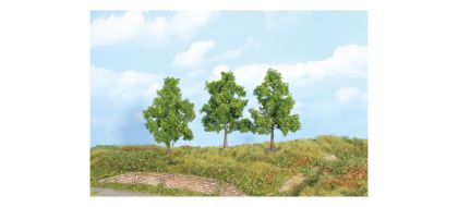Gauge 3pcs fruit trees, 12 cm
