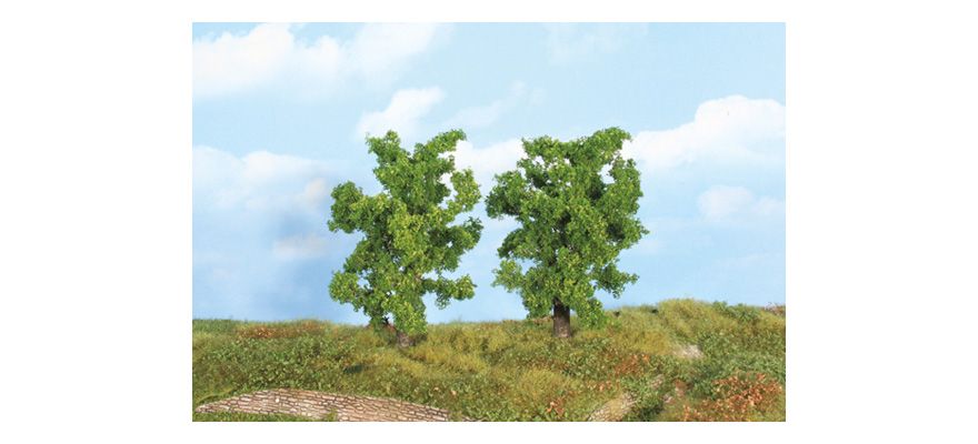 Wild Pear Tree 14 cm, 2 pcs