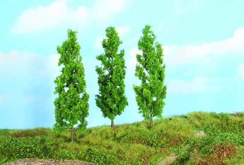 Poplar Tree 18 cm, 3 pcs