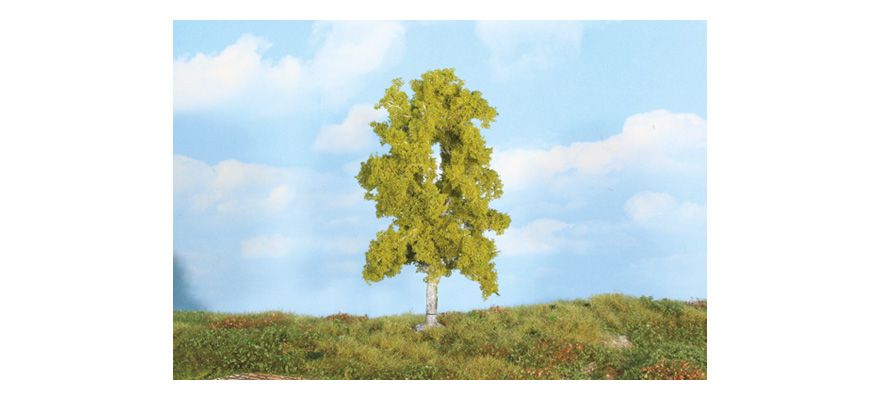 Birch 18 cm, 1 pc.