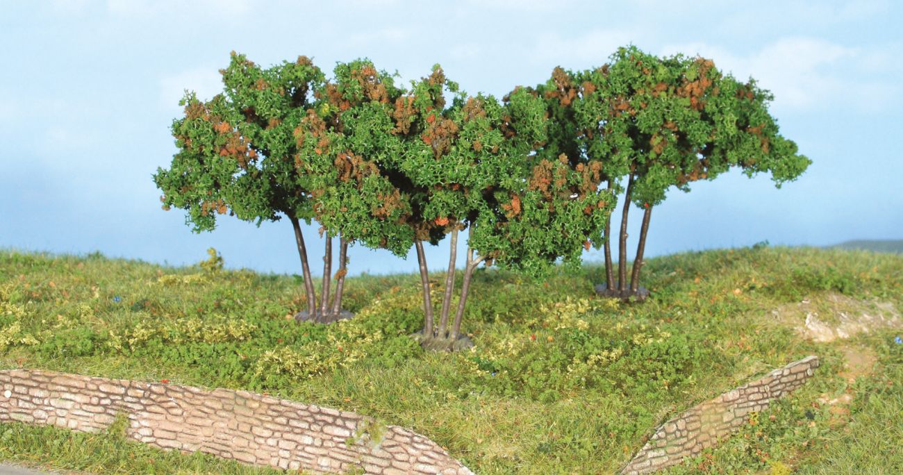 Mulberry Tree 7 cm, 3 pcs