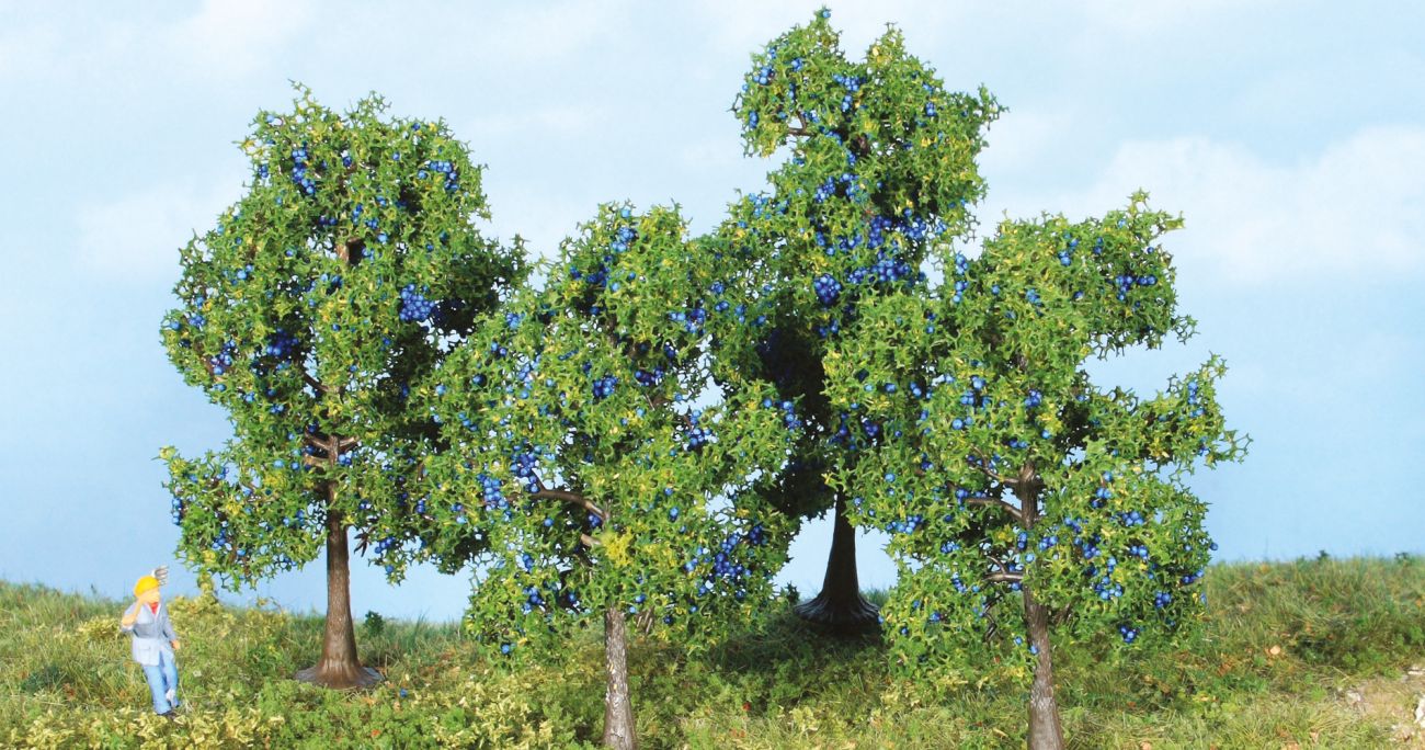 Plum Trees 6 cm, 9 cm, 4 pcs