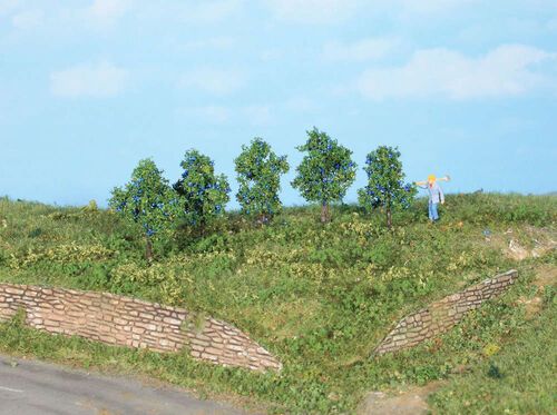 Plum trees, 4 cm, 5pcs