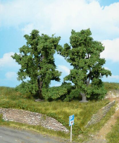 Mountain Ash 13 cm, 2 pcs