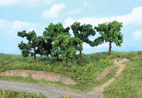 Fruit trees, 8-10 cm, 5pcs