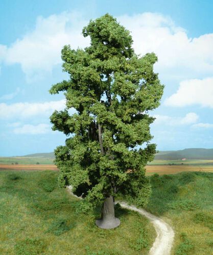 Maple 30 cm, 1 pc.