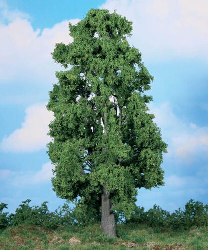 Chestnut Tree 30 cm, 1 pc.