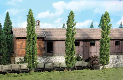 Poplar 36 cm, 3 pcs