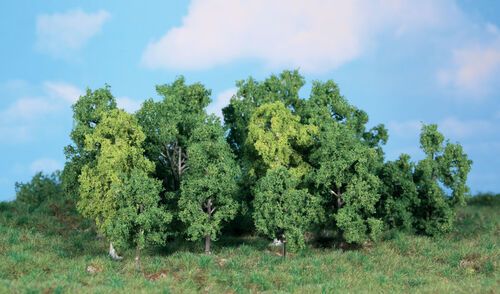 Deciduous Trees 5 - 12 cm, 14 pcs