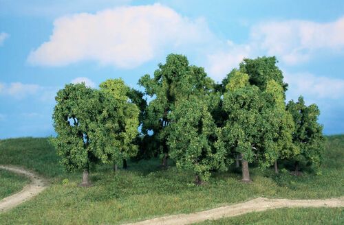 Deciduous Trees 8 - 13 cm, 12 pcs