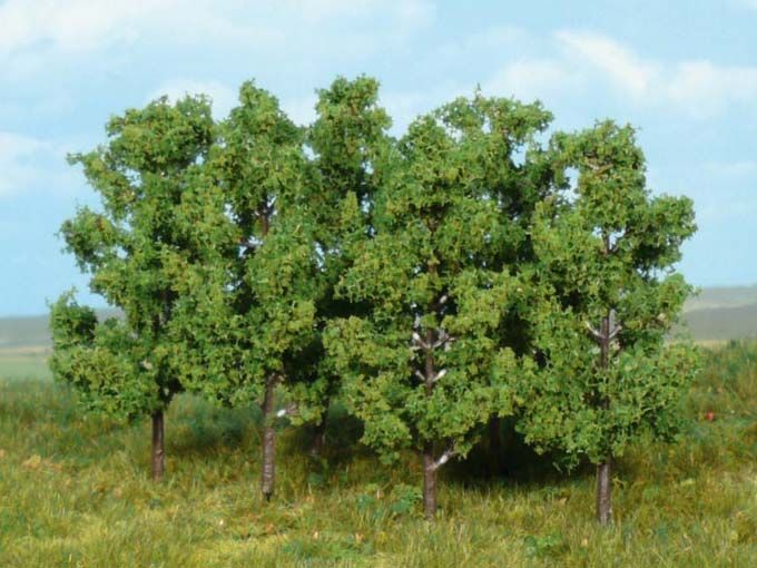 6 Erlen z. Stecken 8 cm
