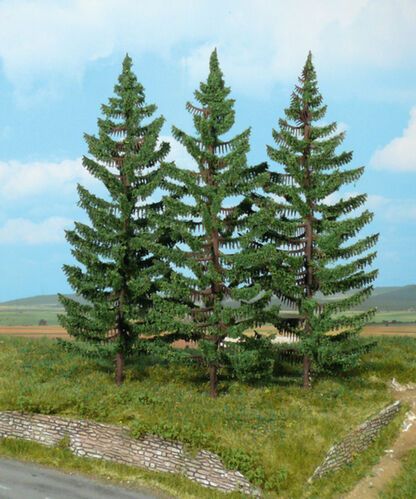 Mountain Spruce 20 cm, 3 pcs