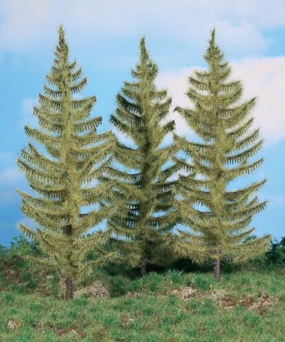 Larch 20 cm, 3 pcs