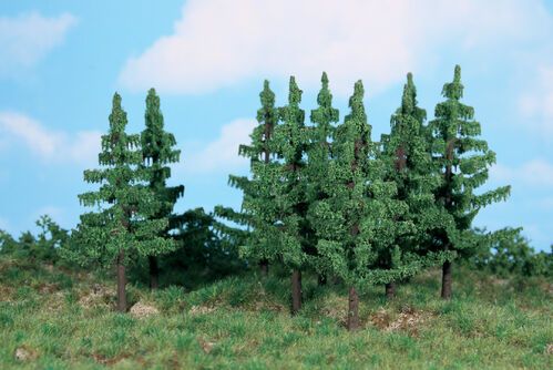 Spruce 12 cm, 10 pcs