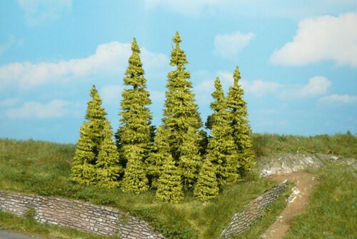Larch Trees 3-5 cm / 10 pc