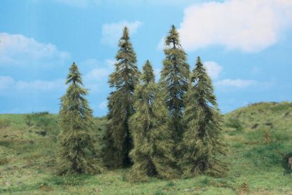 Larch Trees 14-18 cm / 5 pc