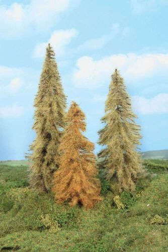 Autumn Larch 18 - 24 cm, 3 pcs