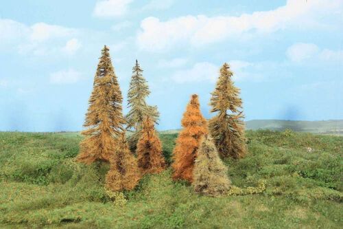 Autumn Larch 7 - 11 cm, 7 pcs