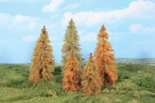 Autumn Larch 14 - 18 cm, 5 pcs