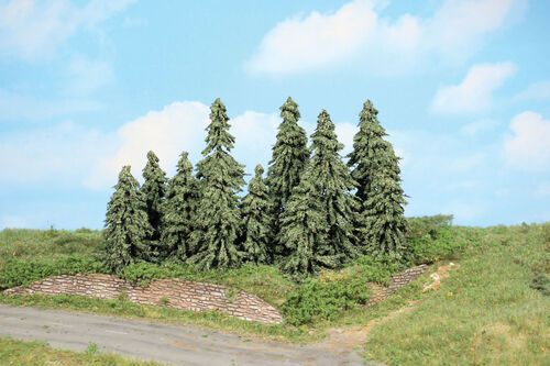 Spruce Tress 7 - 11 cm (10 pcs)
