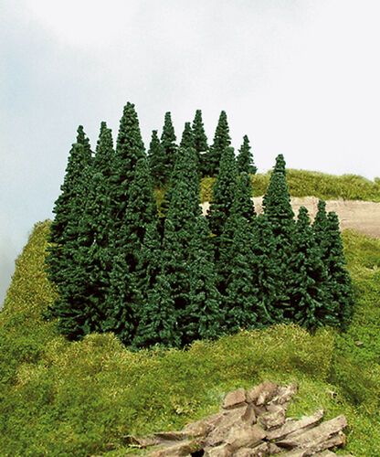 Spruce 5 - 7 cm, 100 pieces