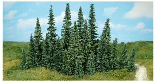24 fir trees, 9 - 15 cm