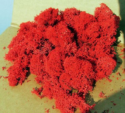 Red Moss 30 g