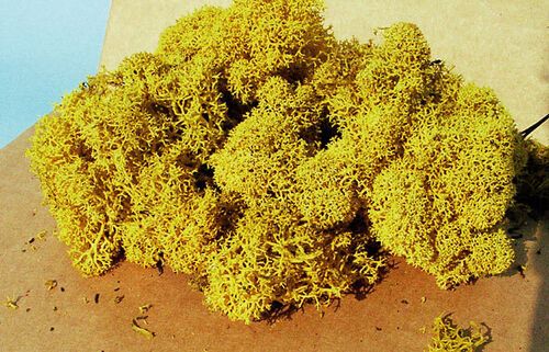 Yellow Moss 30 g