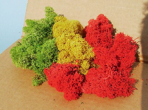Lichen Assorted Colours 75 g