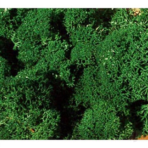 Reindeer moss dark green 250 g