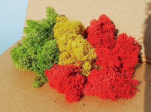 Mixed Moss 250 g