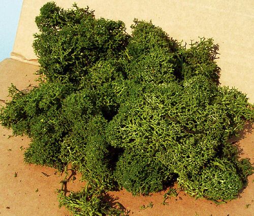 Green Moss 250 g