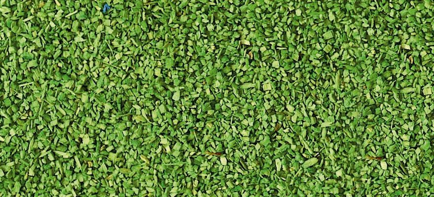 Gauge Neutral groundcover light green, 85 g
