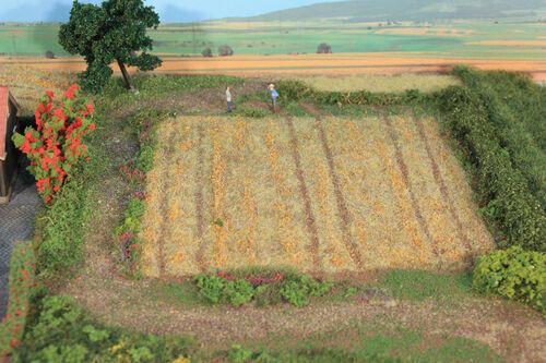 Static Grass Harvested Heyfield 2-3 mm, 50 g