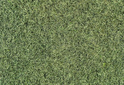 Static Wild Grass: Winter Green 5-6mm 75g