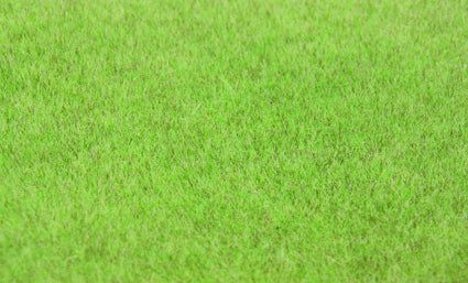 Static Wild Grass: Prairie Grass Light 5-6mm 75g