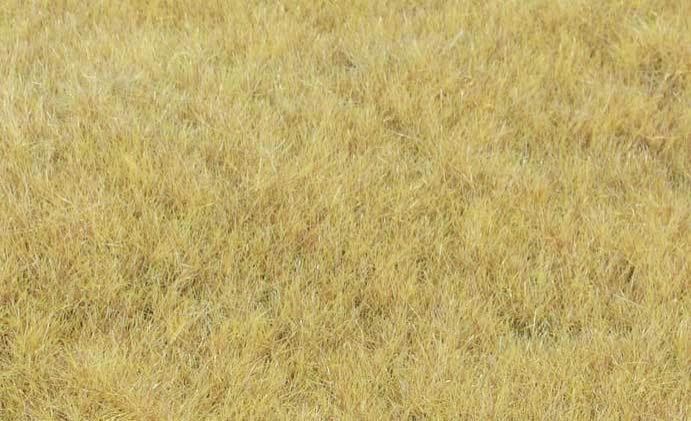 Static Wild Grass – Hayfield 5-6mm (75g)