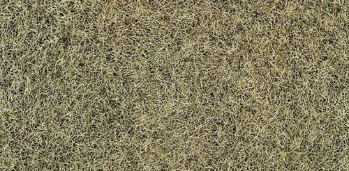 Static Grass: Winter Grass 2-3mm 100g