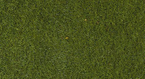 Static Grass: Mid Green 2-3mm 50g