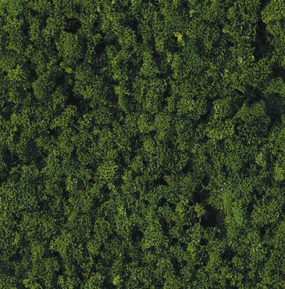 Grass Dark Green Foliage 200ml