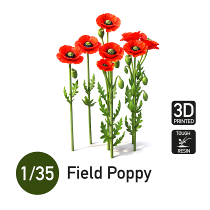 1:35 Field Poppy